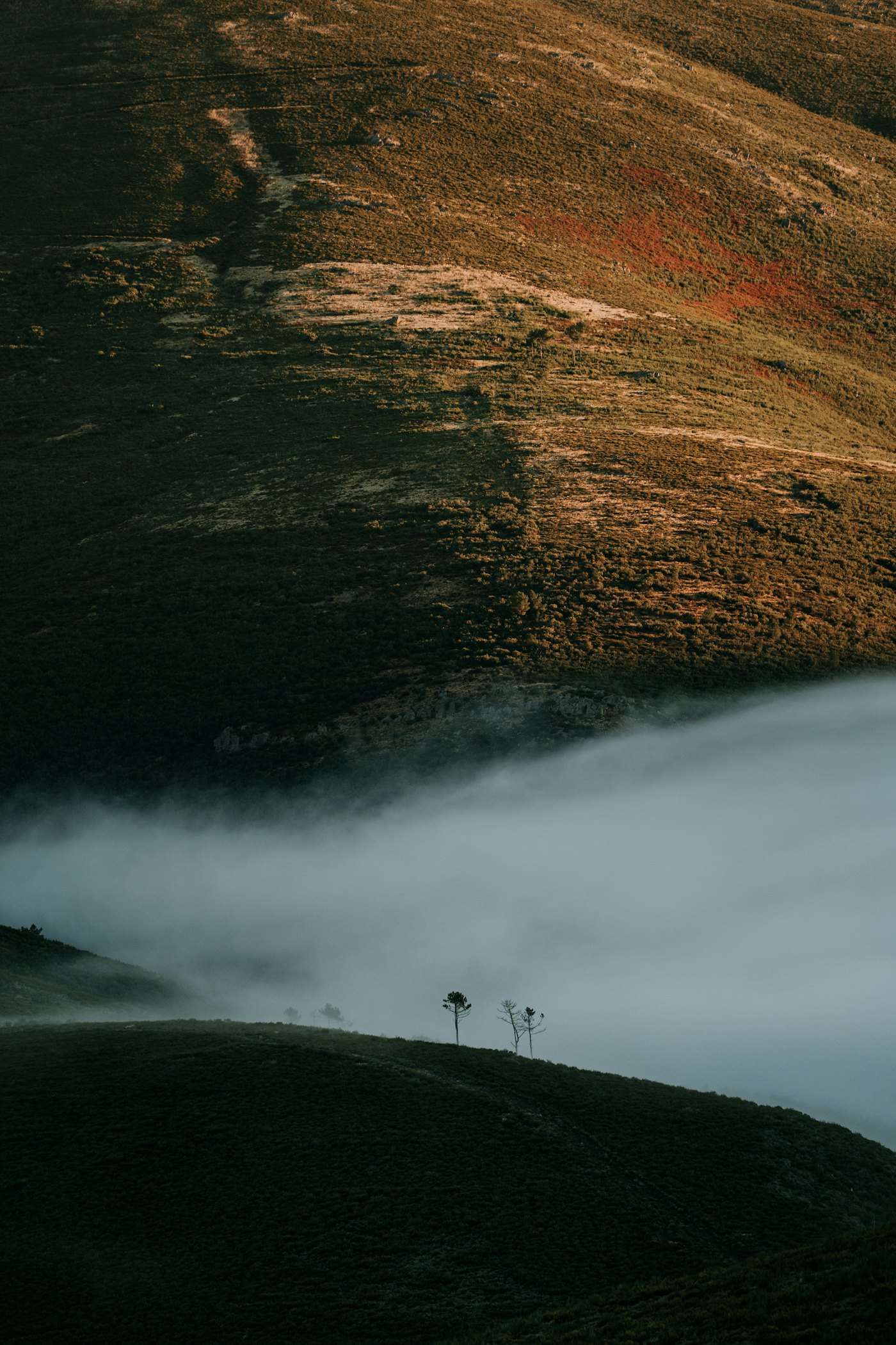 Mist settling in a mountain valley