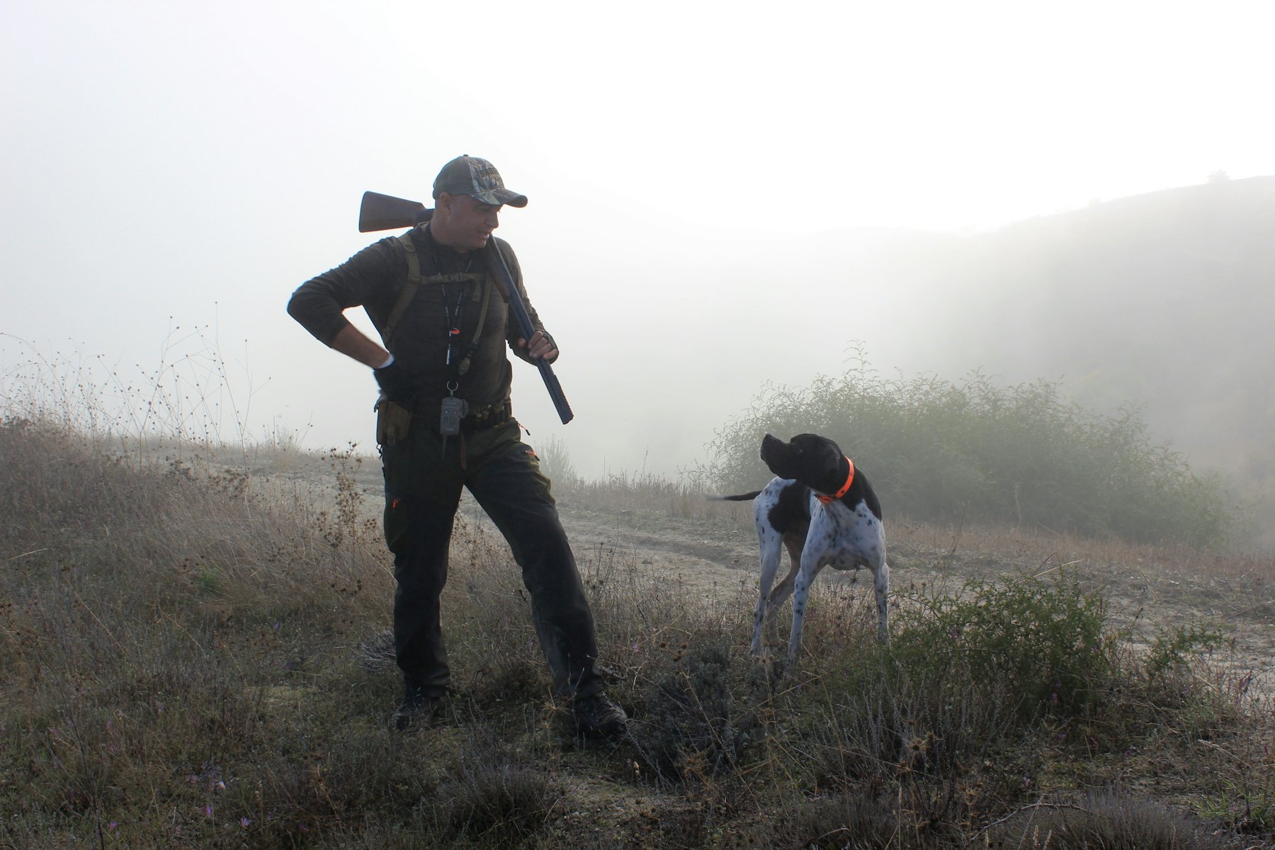 A hunter with a pointer on a misty hillside