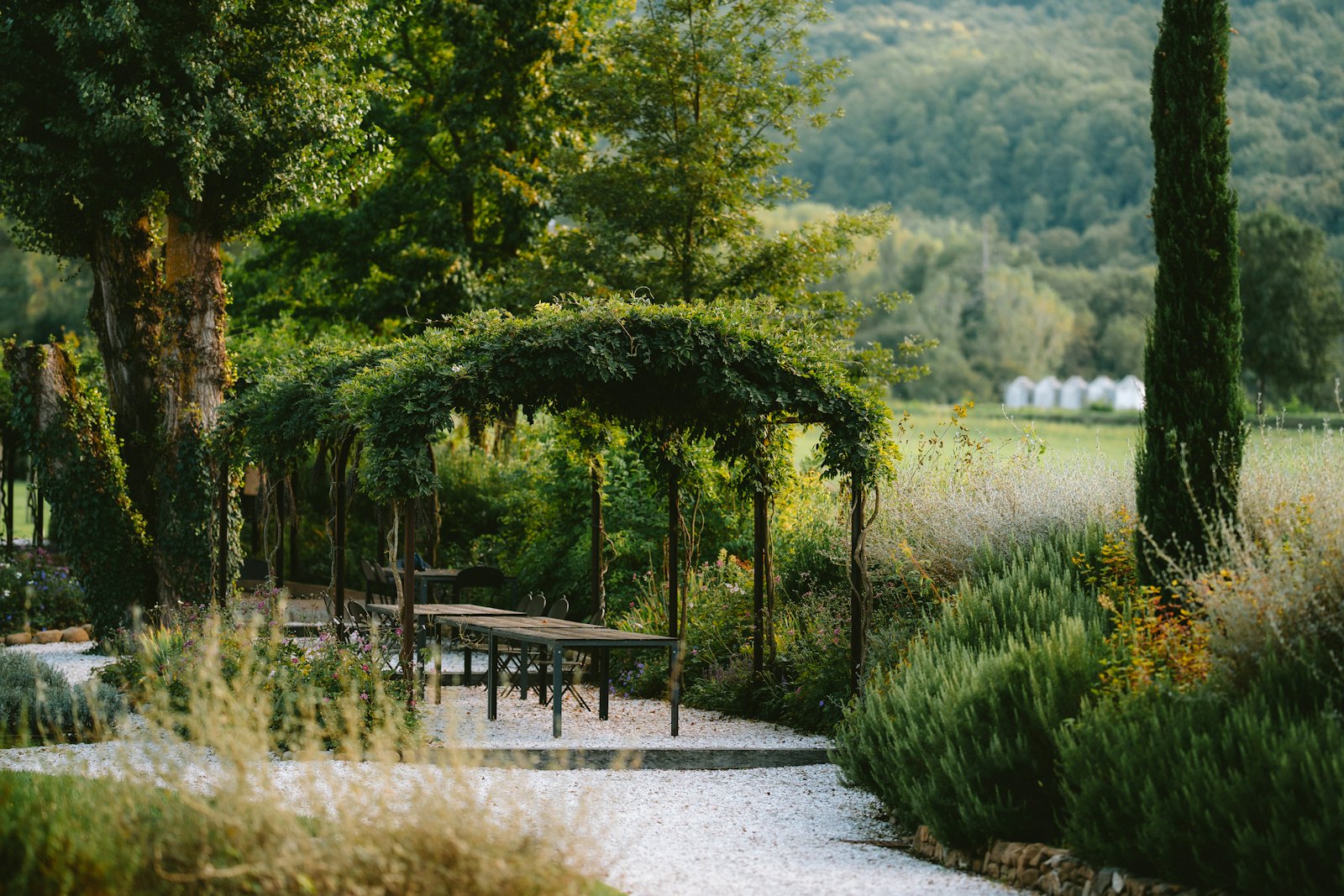A long table under a vine pergola